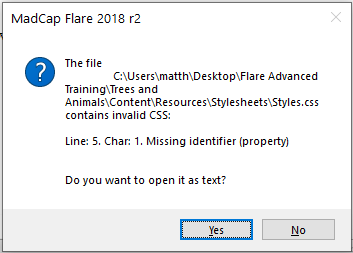 Screenshot showing Flare 2018 error message